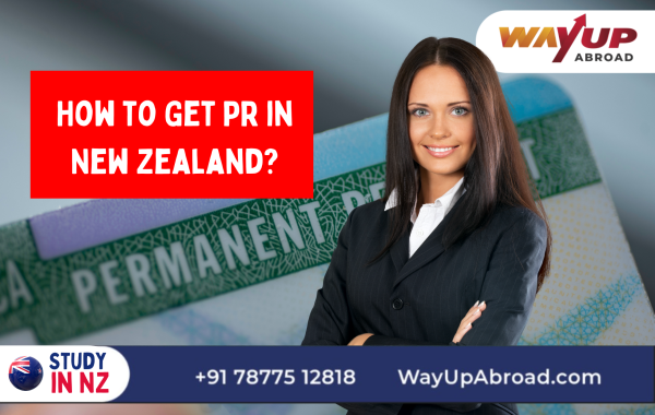 How To Get Pr In New Zealand Requirements Processing Time 